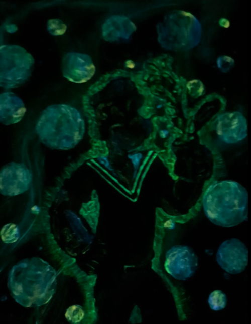 "Spinach & Spectra" 1 of 1 Original Painting